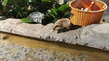 奥摩星球动物乐园(居然之家北五环店)