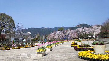 黄龙壹号生态园