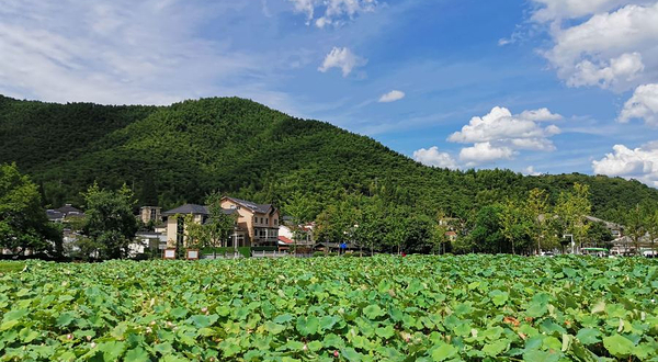 安吉余村荷花山峡谷漂流