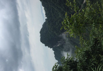 采凉山第 4 张图片