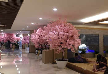 汤连得温泉馆（118店）第 39 张图片