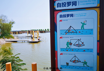 多玛乐园第 79 张图片