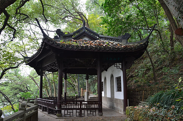 鹳山第 22 张图片