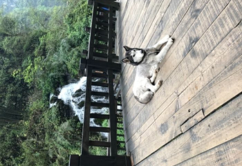 溪边人家第 19 张图片