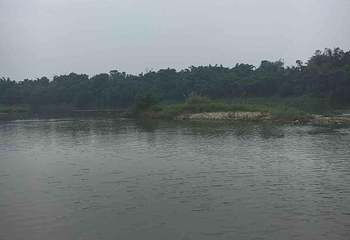 安居黄家坝湿地公园第 4 张图片