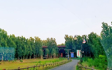 西纸坊黄河古村第 19 张图片