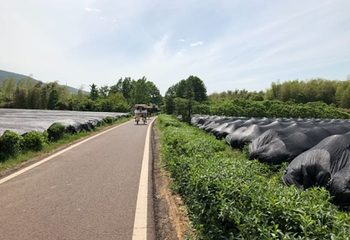 龙池山第 8 张图片