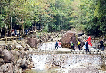 乌岩岭国家级自然保护区第 13 张图片