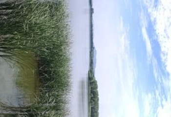莲花湖国家城市湿地公园第 42 张图片