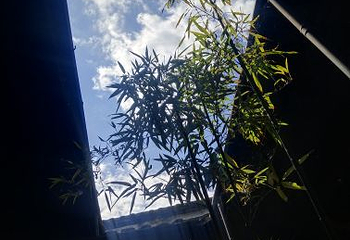 下梅古民居第 41 张图片