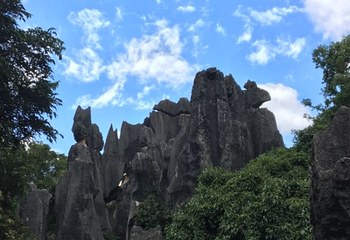 西山森林公园景区第 3 张图片