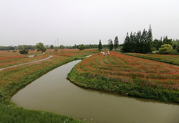 花开海上生态园第 46 张图片