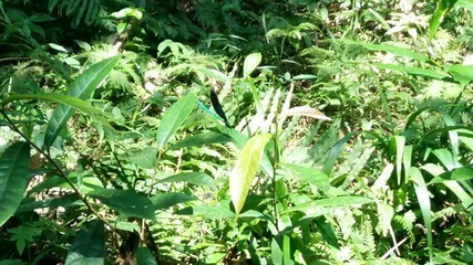 黄金沟森林旅游景区第 7 张图片