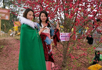 美樱花海第 37 张图片