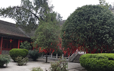 兴教寺第 21 张图片