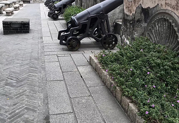 大炮台第 23 张图片