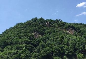 悬羊峰第 24 张图片