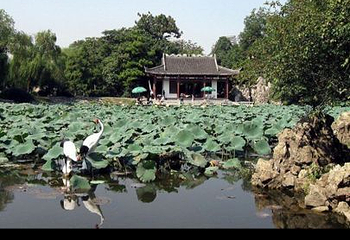 莫愁湖公园第 55 张图片