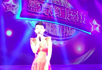 沈阳印记第 14 张图片