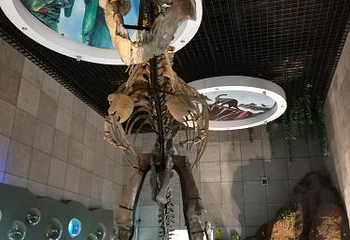 诸城恐龙文化旅游区第 2 张图片