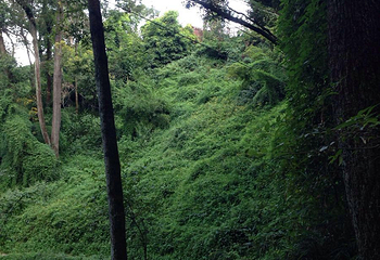 筇竹寺第 13 张图片
