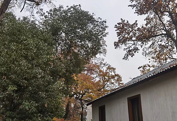 指南村第 24 张图片