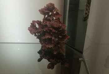 中国地质大学-逸夫博物馆第 31 张图片
