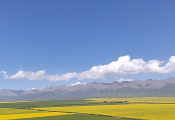 达坂山观景台第 5 张图片