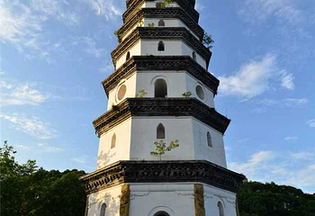 宜宾市翠屏山景区第 23 张图片