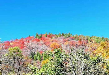 仙台山第 11 张图片