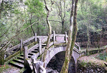 乌岩岭国家级自然保护区第 9 张图片