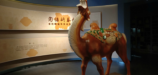 金台观第 13 张图片