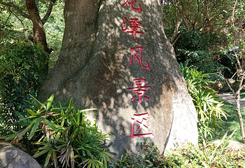 福州国家森林公园第 38 张图片