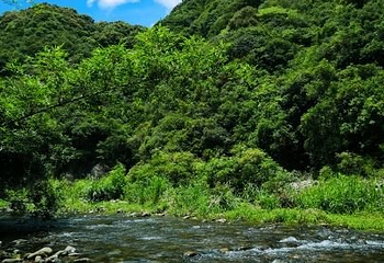 大樟溪休闲游乐区第 8 张图片