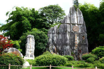石林风景区第 316 张图片