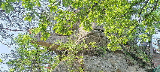 老界岭旅游度假区第 92 张图片