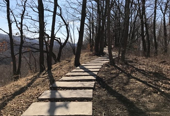 壹台山骆驼峰景区第 12 张图片