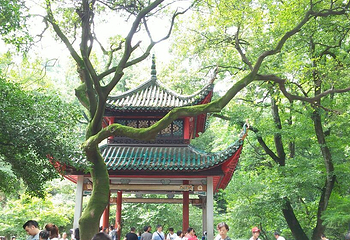 高正街第 4 张图片