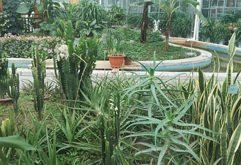北大荒鹤城鲜花港第 21 张图片