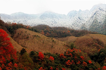 观雾山第 15 张图片