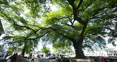 宏村景区第 83 张图片