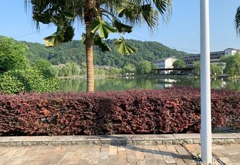 明月山天沐温泉度假村第 22 张图片