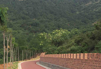 白马寺山森林公园第 9 张图片