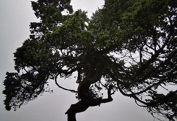 十八月潭景区第 50 张图片