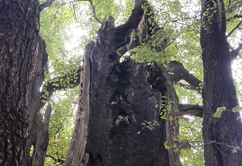 北泉寺第 3 张图片