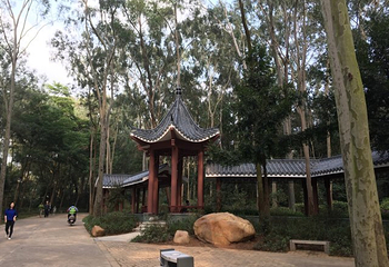 笔架山公园第 18 张图片