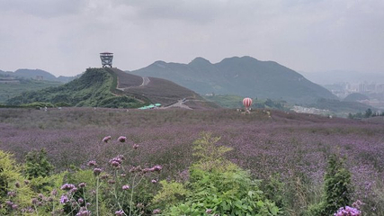 黔北花海第 30 张图片