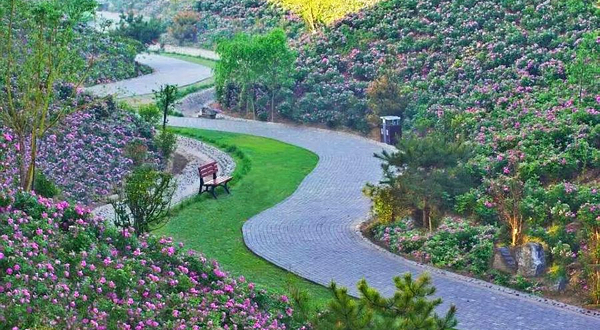 北京市纳波湾园艺有限公司