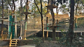 成都飞越丛林(锦绣城园区)