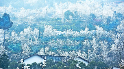 樱桃山旅游景区第 1 张图片